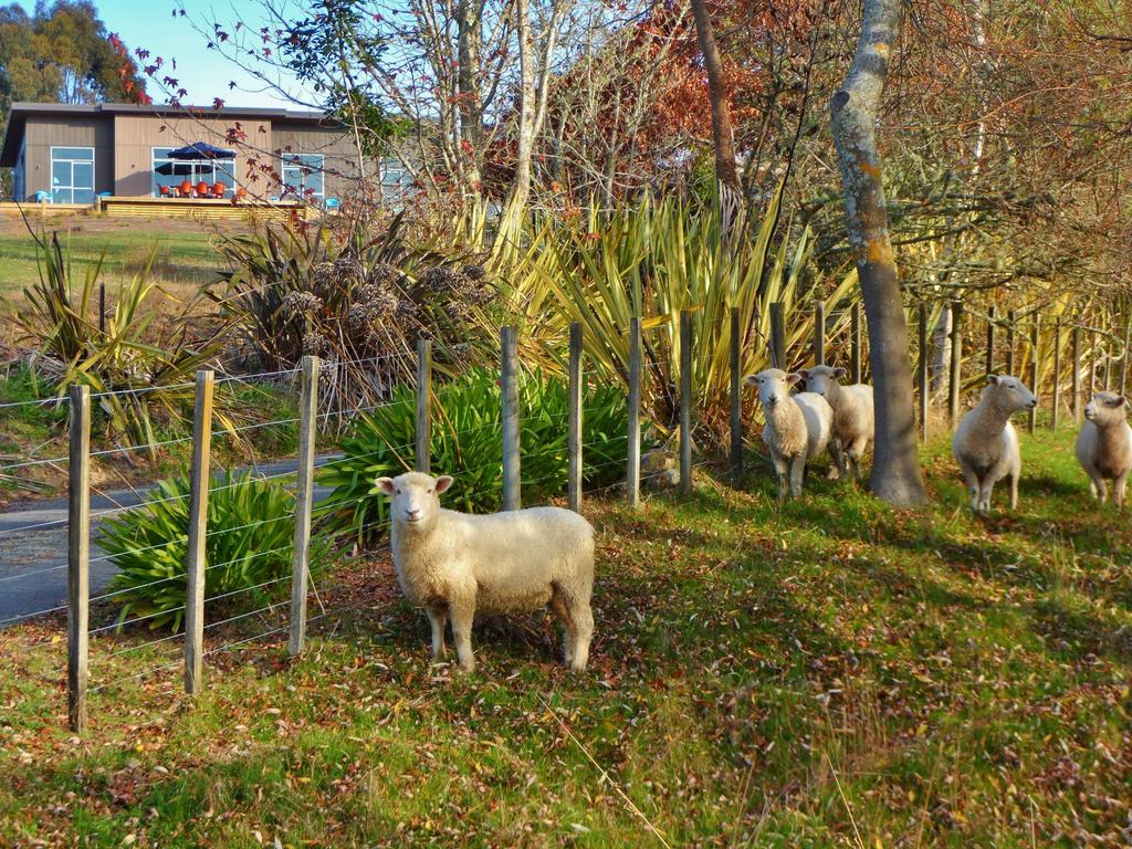 Copper Gate Villa Mapua Eksteriør bilde